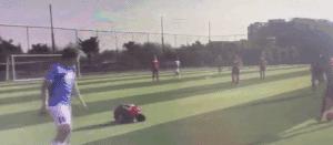 中国打造的功夫足球现状,关于中国功夫的资料