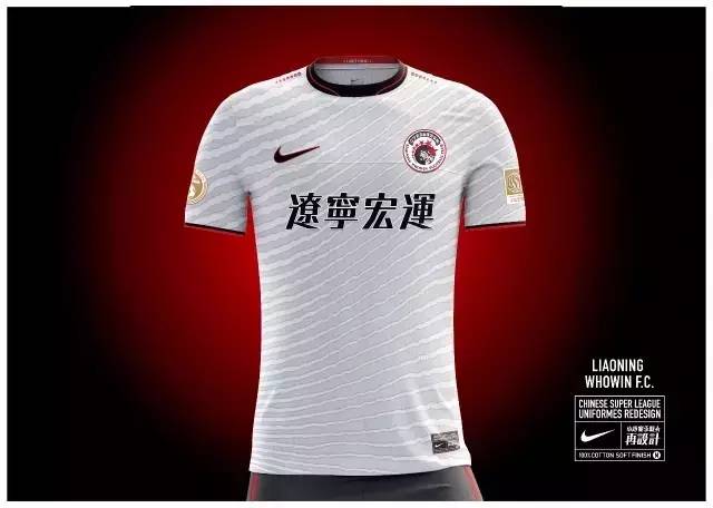 泰达天津足球俱乐部球衣,天津泰达2001球衣