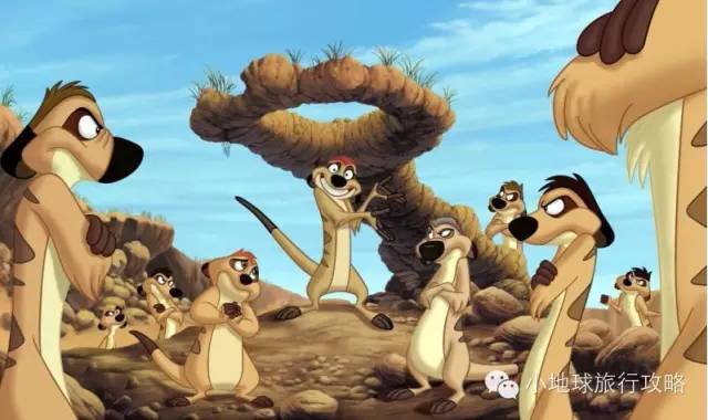 可能是最全的,肯尼亚坦桑尼亚动物百科。小地球耗时一周整理!