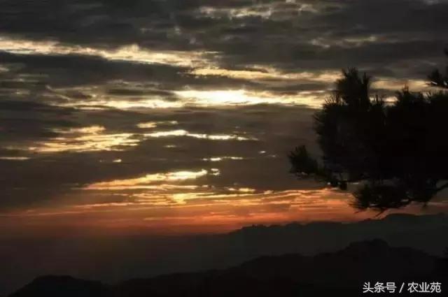 怎么根据云彩来判断天气,云彩识别天气图解