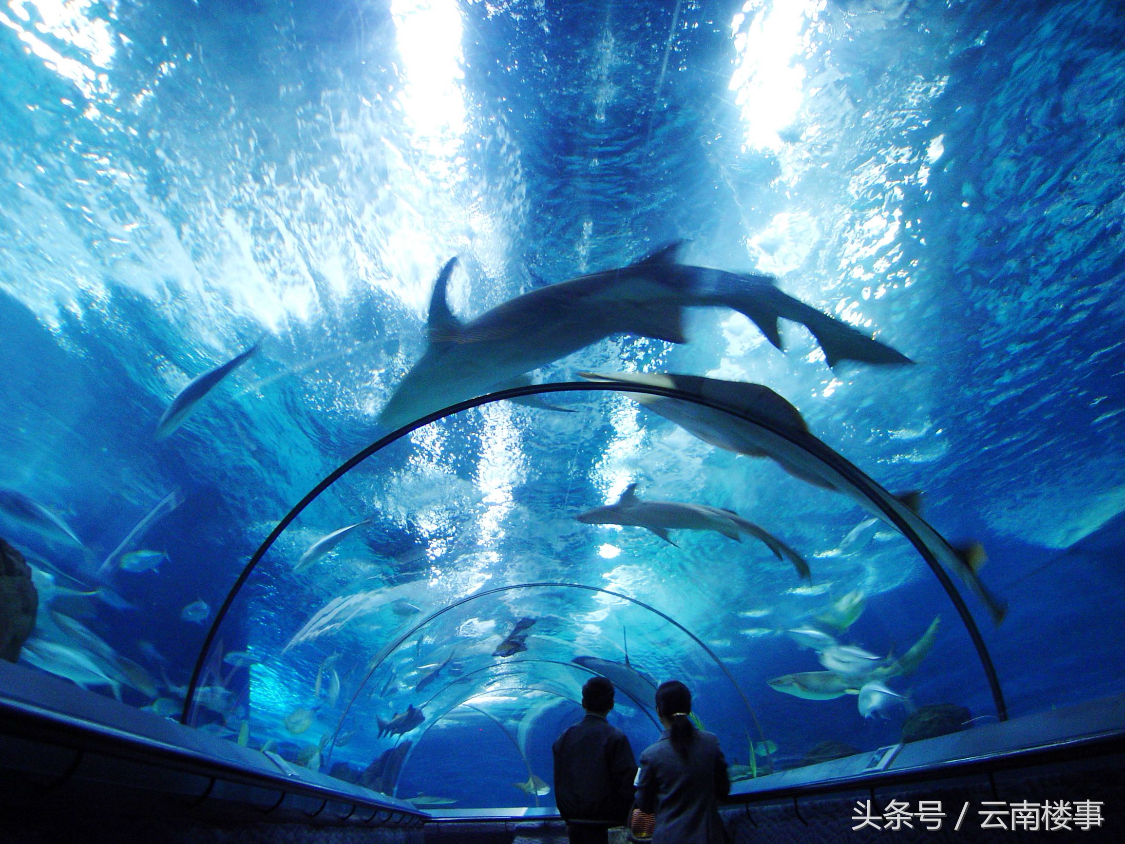 万达一路同行,万达老友