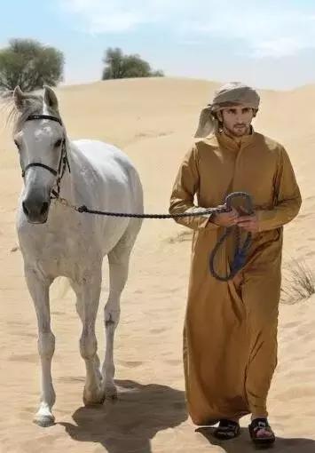 沙特最帅王子哈曼丹,阿联酋王子哈曼丹照片