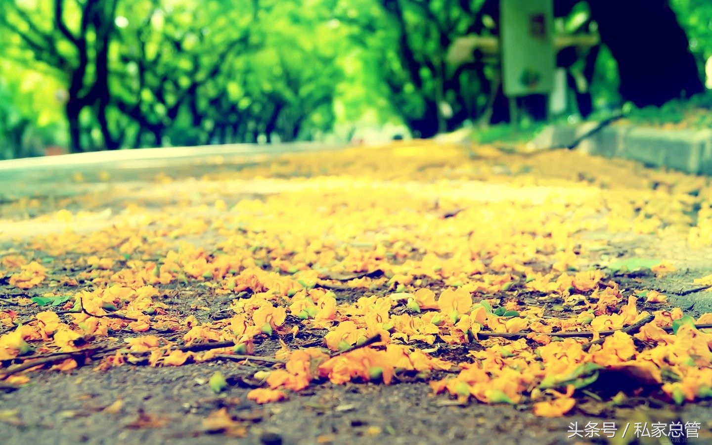 哀大莫过于心死,心死莫过于一笑失望到一定程度后,反而会开出一朵花来,那朵花的名字叫,无所谓