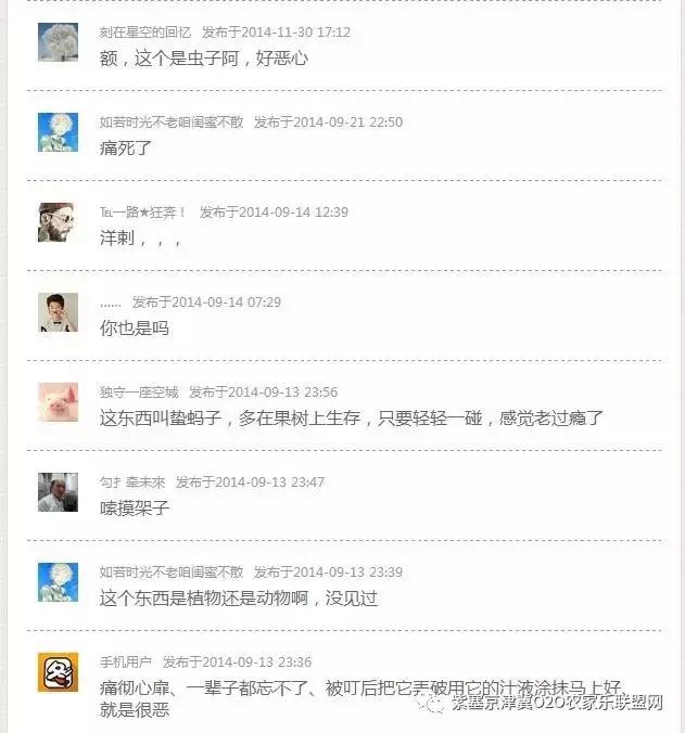 今年夏天，承德有种很小的动物，此神兽攻击力极强摸一下，神魂颠倒，还能吃？而且价格不菲！