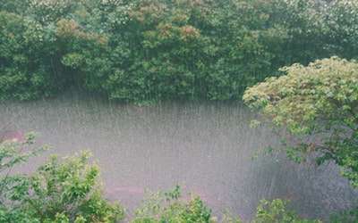 raincheck中文翻译,raincheck是什么意思英语