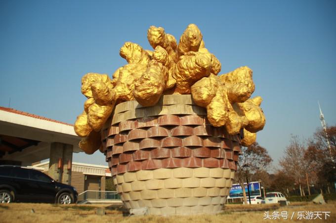 郑州思念果岭是森林公园吗,郑州思念果岭高尔夫球场