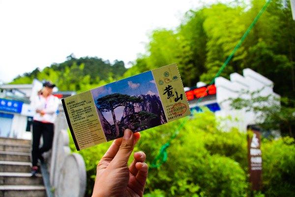 黄山四绝之一奇松介绍,黄山的四绝分别是奇松怪石