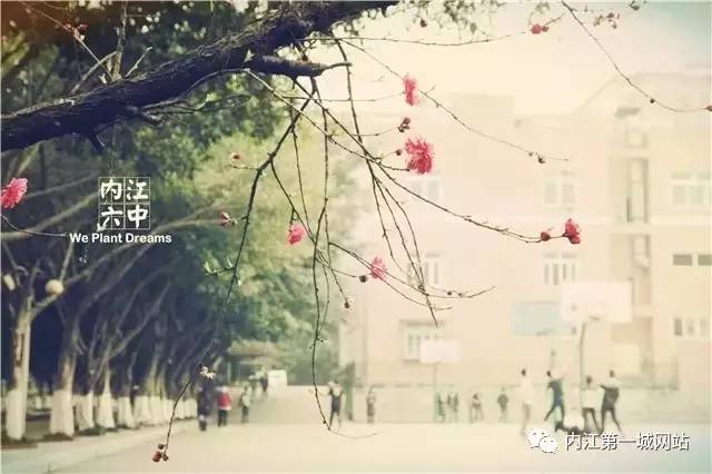 想穿校服,内江六中校服