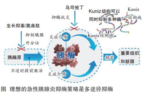 消化道疾病用什么药,消化道疾患常用中成药