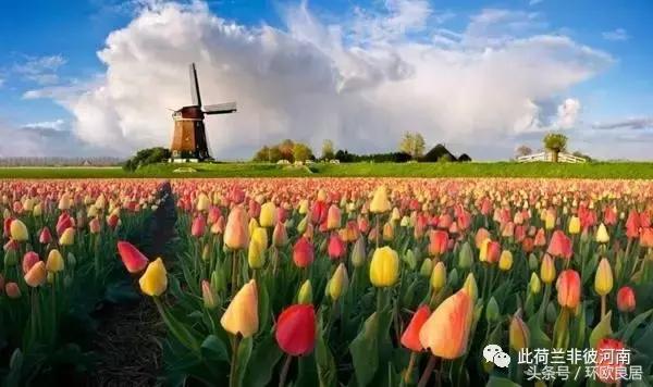 手把手教申请申根签证,申请荷兰个人旅游签证