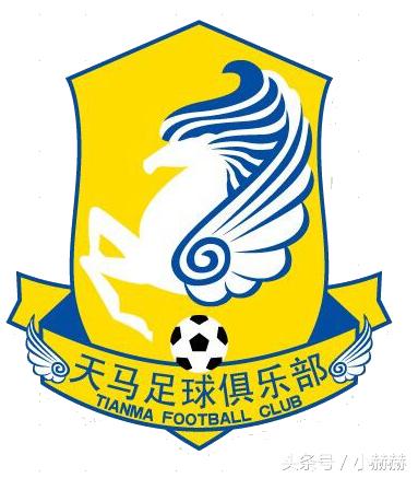 足球荒漠大洋洲,足球沙漠之队