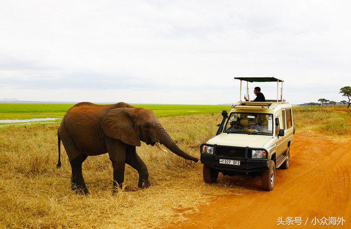 小众旅游地探索攻略,坦桑尼亚游猎攻略