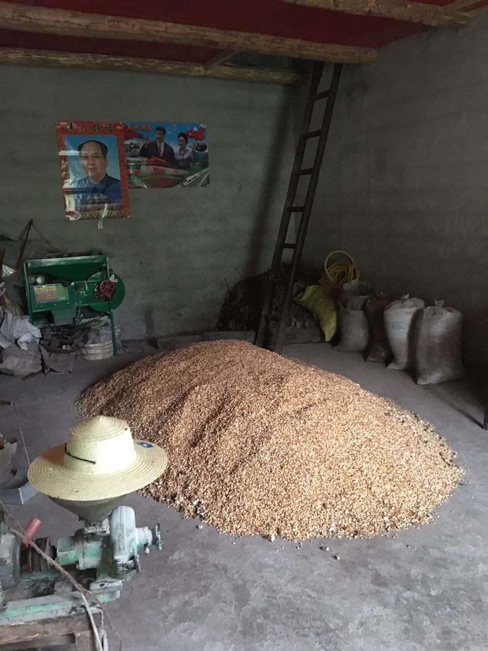 重庆农村生活真实感受,在重庆生活是什么样的感受