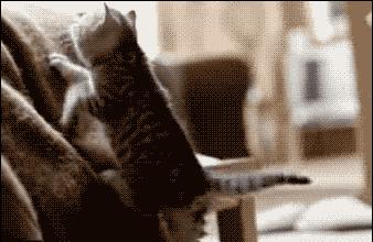 这样的叫床方式，有点一言难尽！