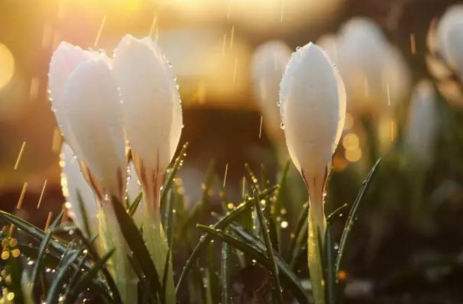 月经老是淋漓不尽这是什么病,月经多一直不干净是什么原因