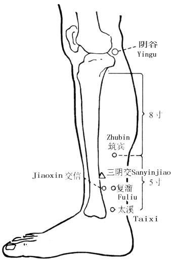 中医穴位交会穴,交信穴对崩漏管用吗