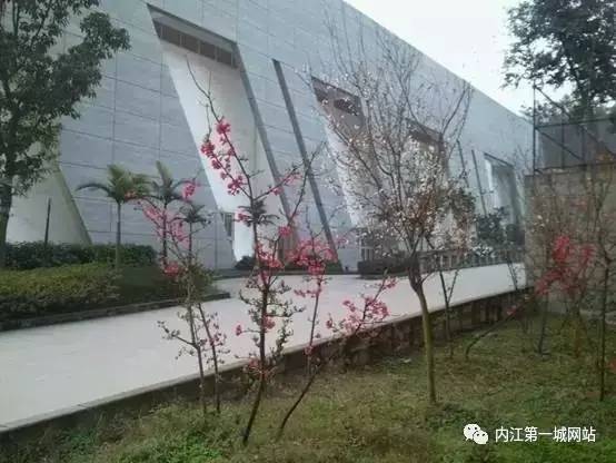 想穿校服,内江六中校服