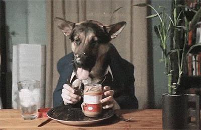 马云的口哨怎么吹的,马云台下吹口哨视频