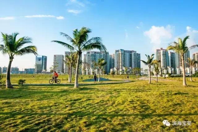 看了2020年的宝安，才明白什么叫开挂！