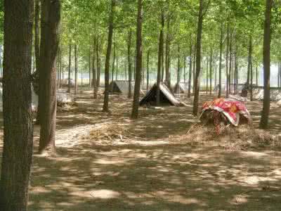 刚逮回来的种兔应该怎样预防,杂交野兔和家兔哪个好养