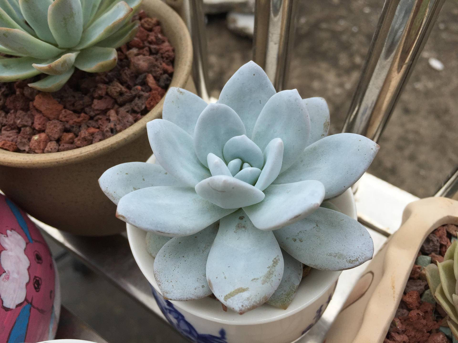 生锈的破铁门图片,生锈的铁门破了