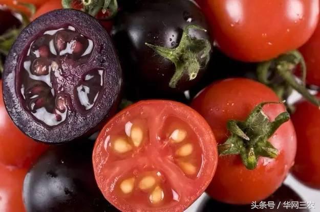 缅甸特产吃过3种算你牛？台州土特产出名啦看看有没有你老家的？网购的土特产都是家乡的味道？忻州特产？