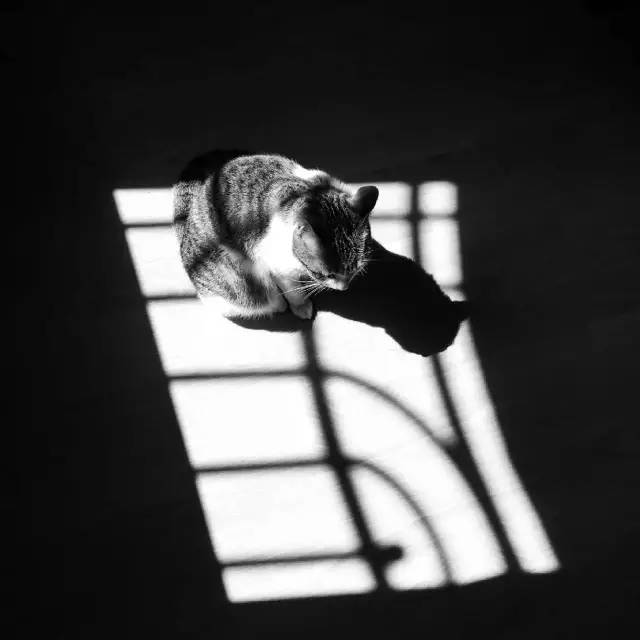 年度最漂亮的手机排行,最好看的手机图片