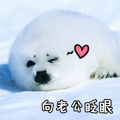 跟老公男朋友聊天专用微信QQ萌萌可爱带字表情包