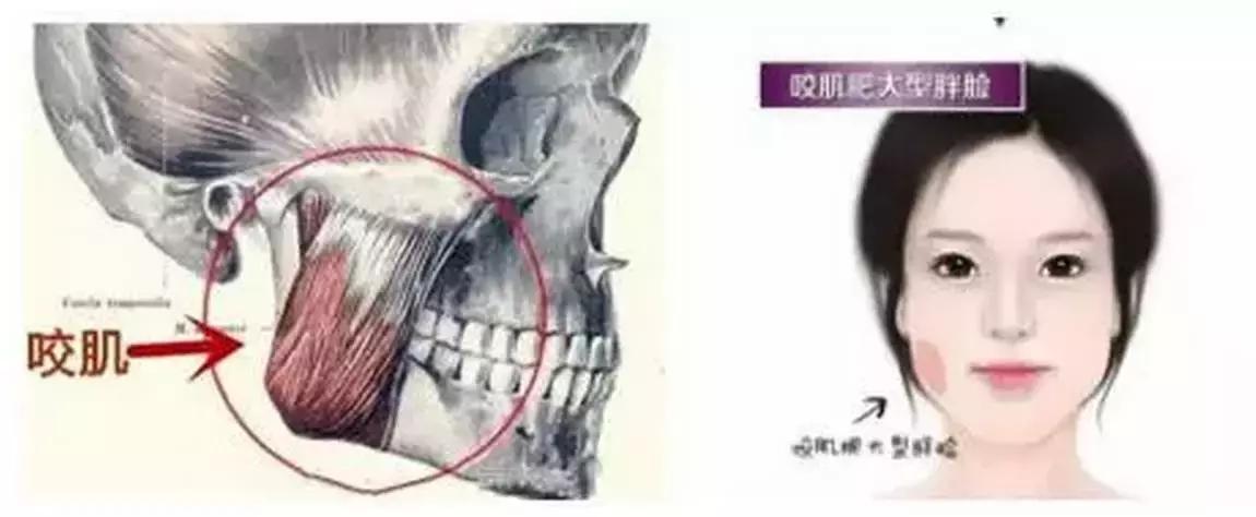 体重减下来了脸为啥还这么大,体重没减但脸看起来瘦了怎么回事