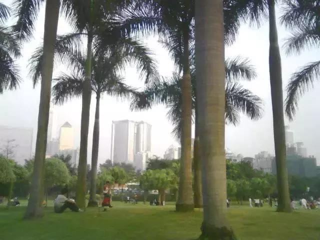 广州地铁沿线景点小孩子可以玩,广州6号线地铁有哪些旅游景点