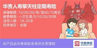 平安定期寿险哪个产品好,定期寿险哪个保险公司的产品最好