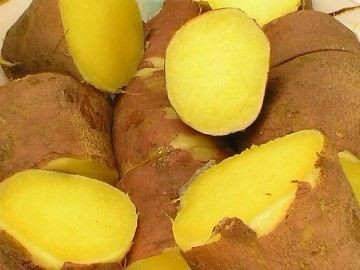 黄体功能不足如何食疗调理,黄体功能不足的食疗方法