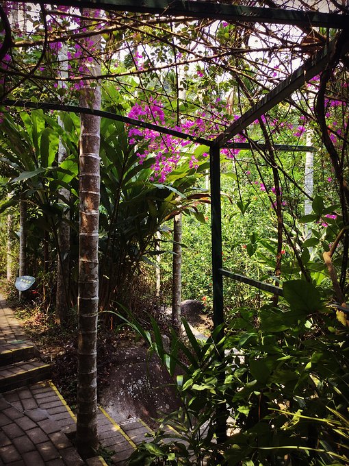 三亚呀诺达半天能玩完么,三亚旅游哪里吃海鲜最便宜