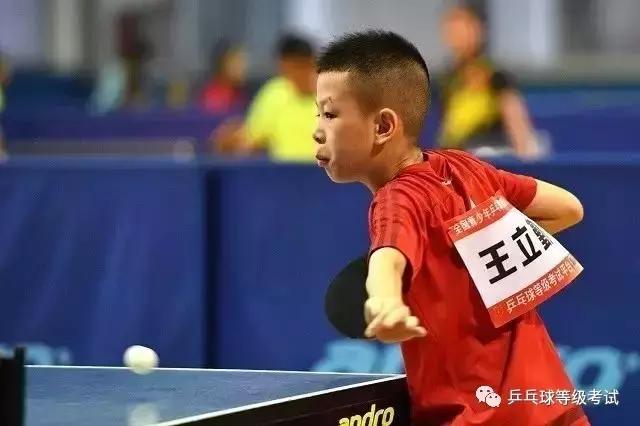 江门24名国球小将勇获乒乓球等级赛江门赛区“共信赢杯”奖项