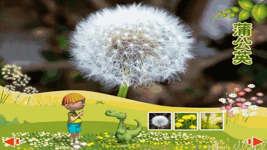 神奇的植物种子传播方法,我还知道哪些植物靠旅行传播种子