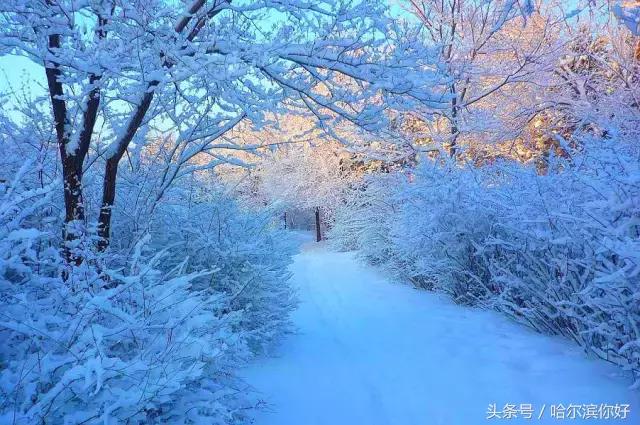 哈尔滨尚志要开挂了！如果三年后你还在尚志，将面对的竟是这些