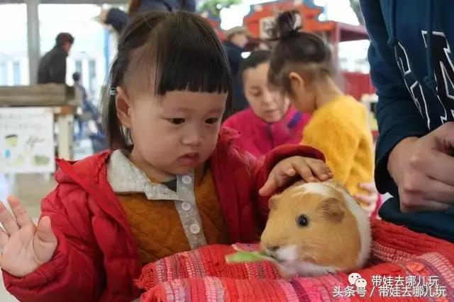 冲绳亲子游最强攻略,冲绳带娃旅游攻略