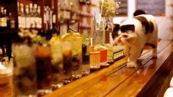 贵阳最劲爆的酒吧,贵阳hardstar酒吧