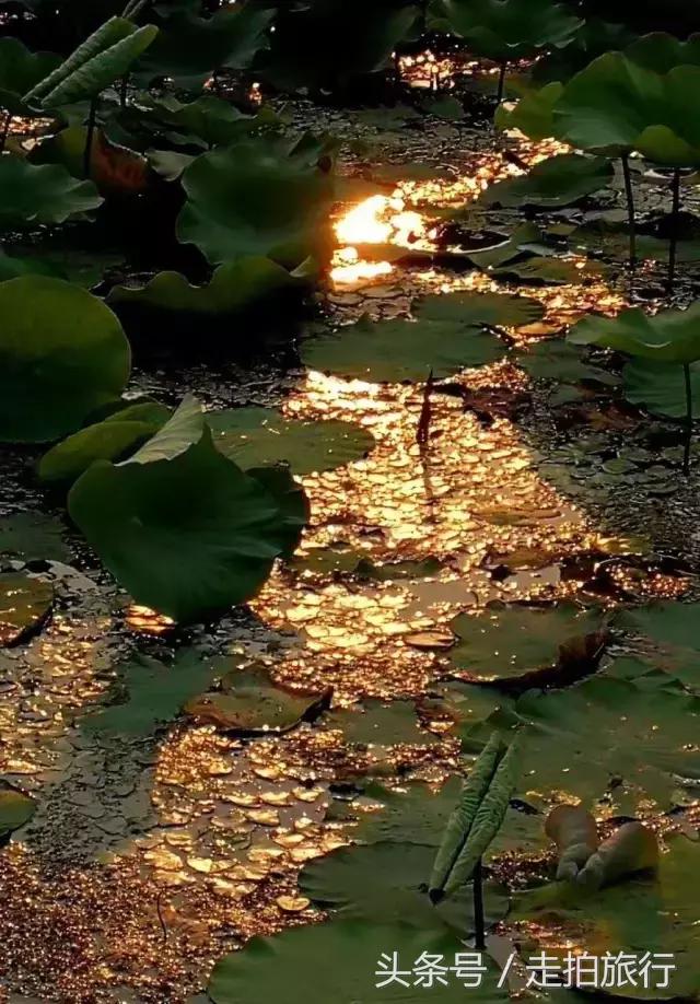 滁州有哪些地方可以下班去逛逛,滁州十大必去景点推荐