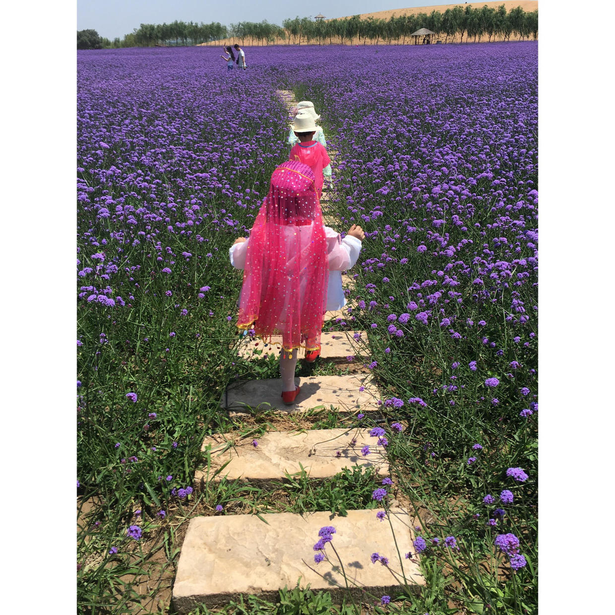 带娃去沙坡头,带上萌娃去旅行