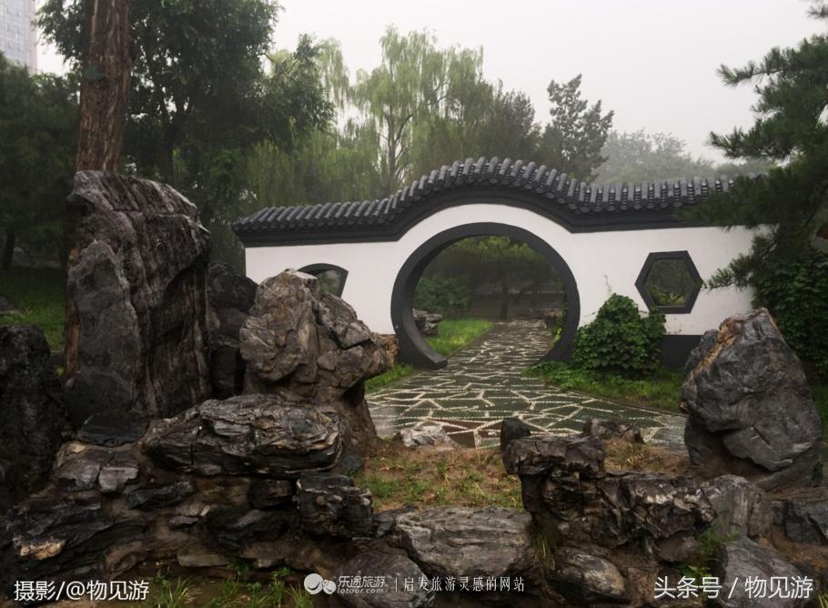 清水凌霄映芙蓉北京日坛公园雨中景｜一绮花见游（原创城市微旅行文章）