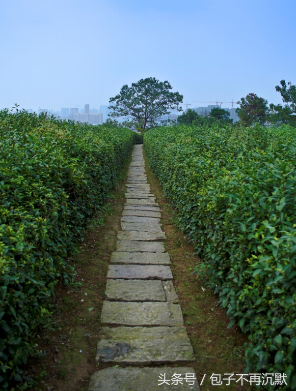 湖州旅游攻略自由行三天三夜,杭州苏州南浔四天三晚旅游攻略