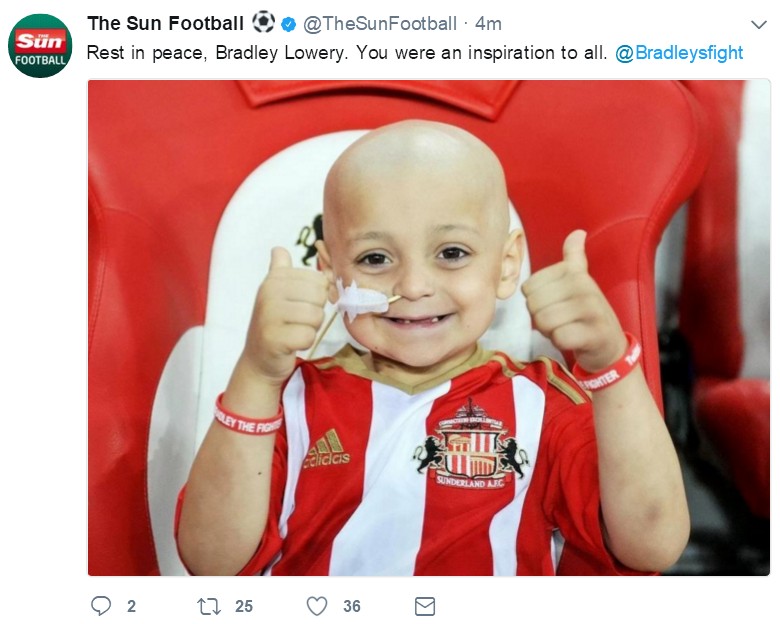 小布拉德利视频,小布拉德利