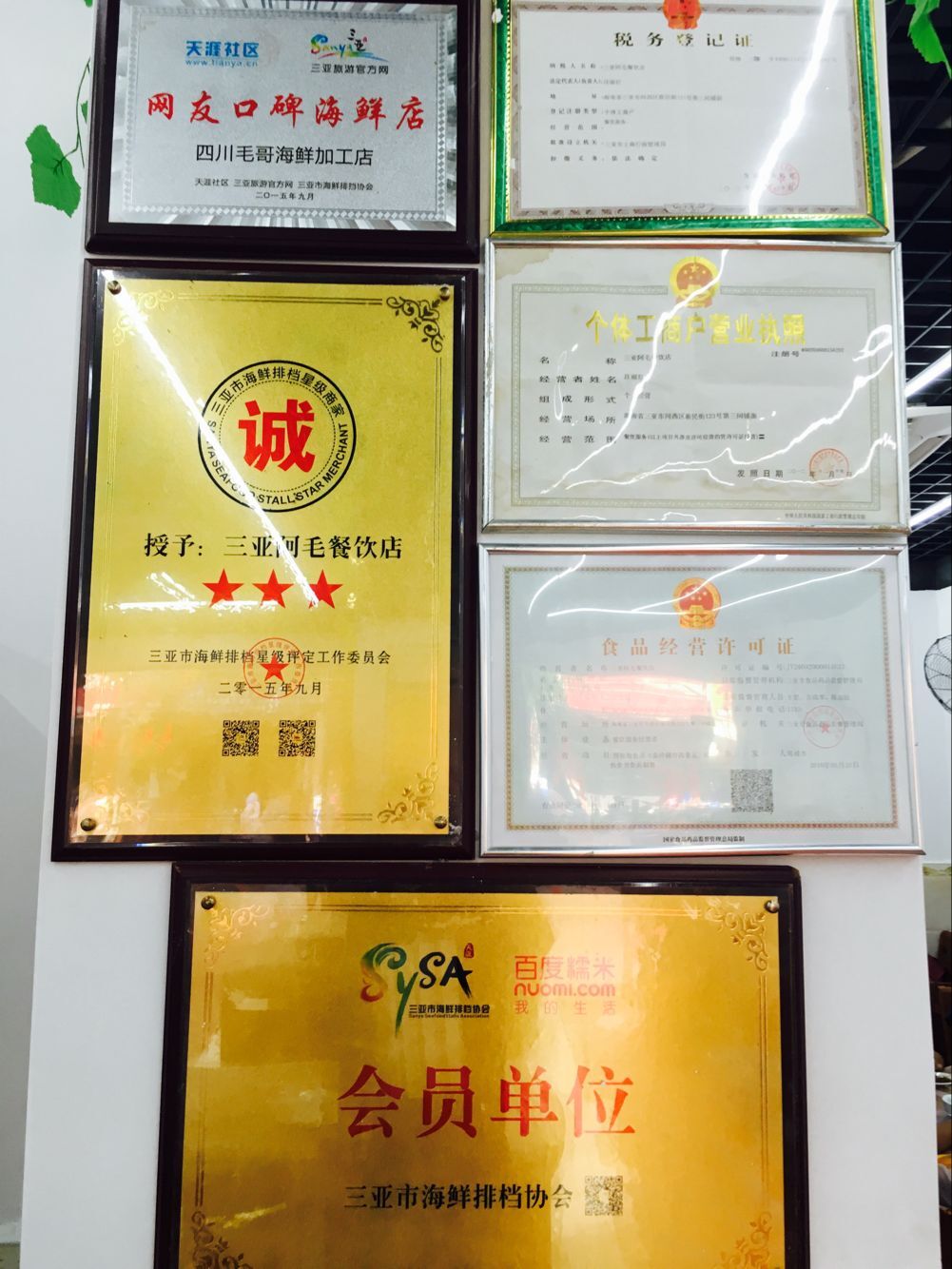 三亚旅游防蚊虫攻略,三亚防宰攻略详细