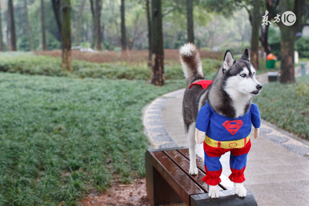 一箭双雕的搞笑视频动画,爆笑段子笑得我闪了腰