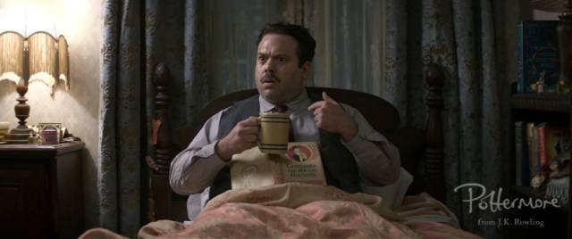 哈利波特粉丝最讨厌的人,哈利波特的真爱粉比黑粉还可怕