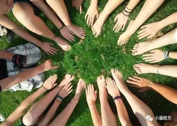 中医春季养肝护肝茶,肝病患者喝的养肝茶