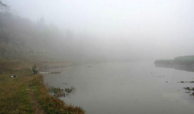 鲶鱼很聪明吗,鲶鱼可以一年四季钓吗
