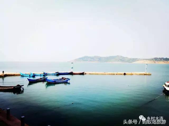 蚂蚁岛一日游,蚂蚁岛半日游