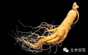 夏季适合食用人参吗,夏天怎么吃人参